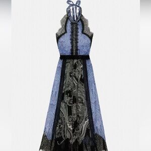 Limited edition Zara paisley maxi dress